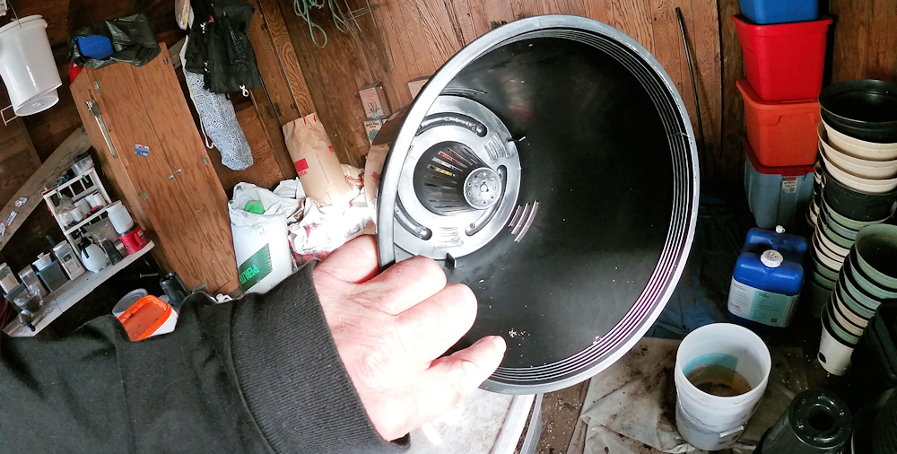 TLO Micropond Growing