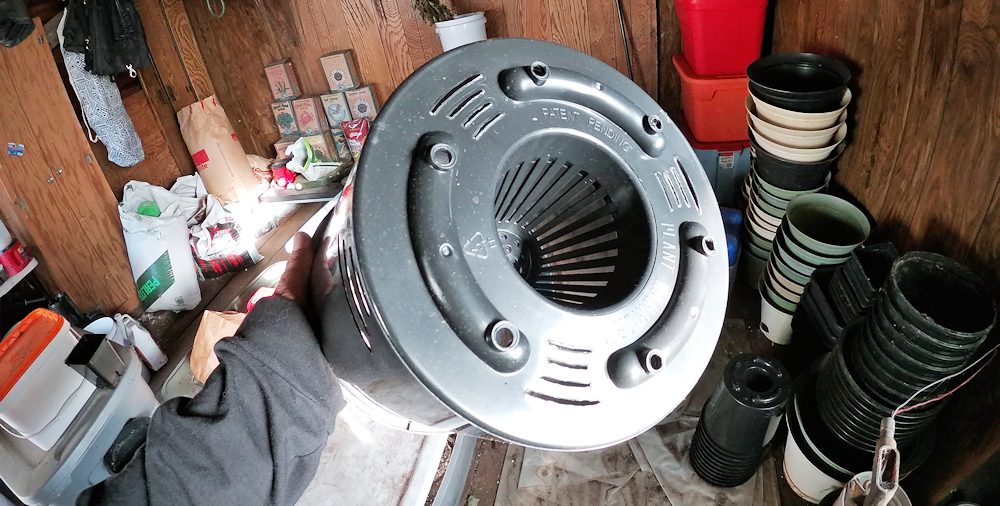 TLO Micropond Growing